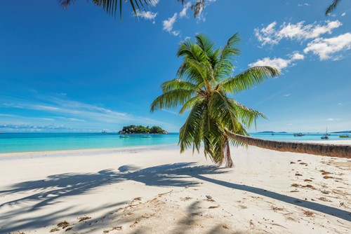 winter_sun_destinations_jamaica