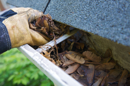 Removing leaves from the gutter
